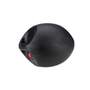 Dual Handle Cardio Ball